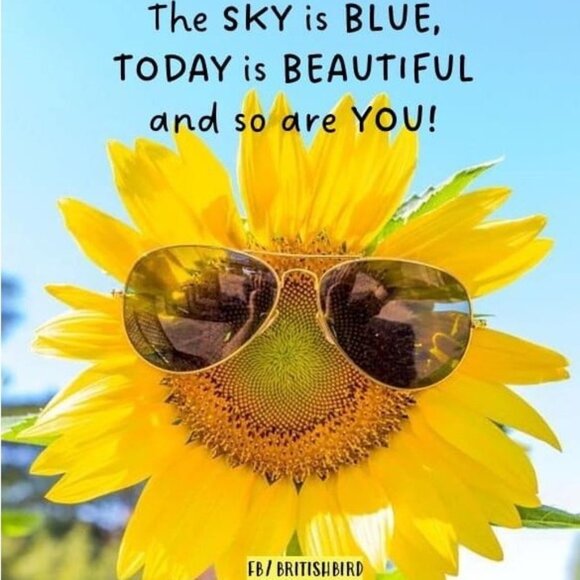 β¬οΈ π πDeep discounts today, make an offer!!πππ - Picture 1 of 16